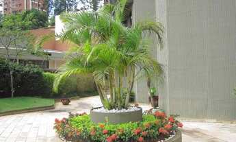 Imagem 6: São Paulo - Apartamento Padrão - Real Parque