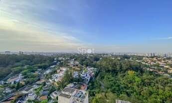 Imagem 6: São Paulo - Apartamento Padrão - Real Parque