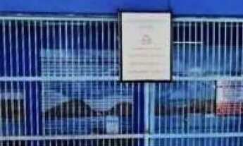 Imagem 2: COMERCIAL - VILA FORMOSA - SP