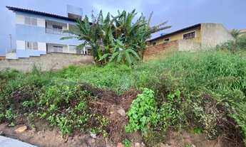 Imagem 4: Vendo terreno em gravata