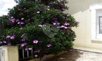 Imagem 7: Excelente sobrado na Freguesia do Ó