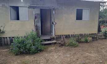 Imagem 2: Sítio no Rio Preto da Eva KM 105 ramal ZF9 Comunidade Cachoeira do rio urubu