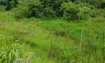 Imagem 7: Sítio em JUQUIÁ/SP