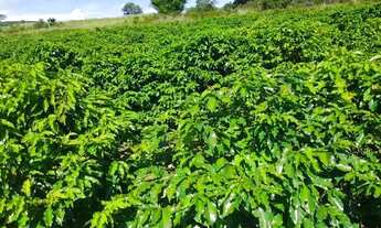 Imagem 4: Sitio com 1.8 Alqueires em Monte Santo - Mau