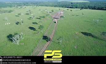 Imagem 2: Fazenda à Venda, 23000 Hec² Por R$ 120.000,00 - Novo Horizonte - Paranatinga/mt