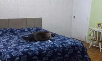 Imagem 6: Sobrado com 155m e 3 quartos em Santo Amaro