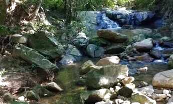 Imagem 7: Fazenda 28,5 alqueires cidade de goias