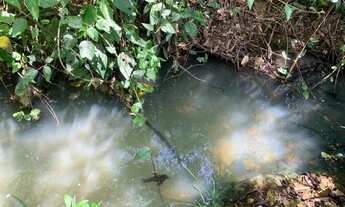 Imagem 3: Terreno rural 7.8ha, casa antiga, barracão, arvores frutíferas, 2 nascentes,2 lagoas, Jab