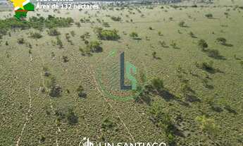 Imagem 2: Vendo 132 hectares