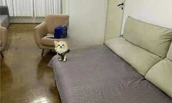 Imagem 3: Casa para Locação 200m² na Auxiliadora