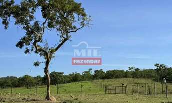 Imagem 4: Chácara 2 alqueires (9,68 hectares) Vianópolis - Go