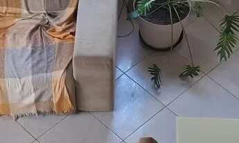 Imagem 4: Linda casa em Cabo Frio