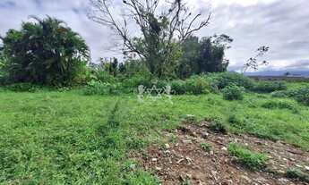 Imagem 3: Terreno à venda, Balneário dos Golfinhos, Caraguatatuba, SP