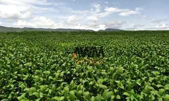Imagem 2: Fazenda à venda, 18972800 m² por R$ 40.000.000,00 - Centro - Niquelândia/GO