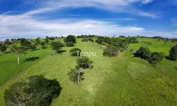 Imagem 2: Fazenda 3 alqueires em Anicuns - Excelente para plantio