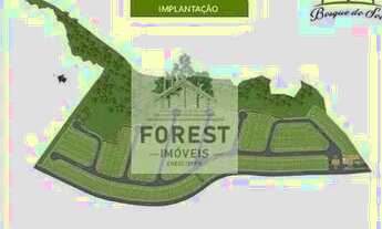 Imagem 4: Lote plano pronto para construir condominio fechado