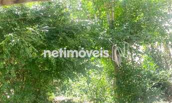 Imagem 5: Venda Casa Havaí Belo Horizonte