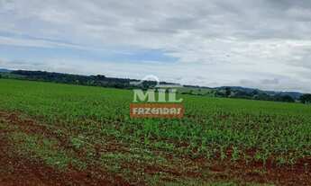 Imagem: Chácara 9,5 alqueires (46 hectatres) Trindade