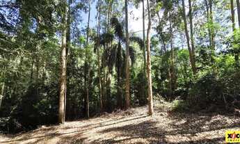Imagem 3: Sítio / Chácara para Venda em Nova Petrópolis, São Jacó