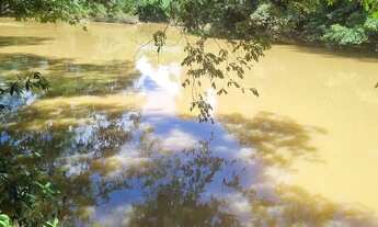 Imagem 5: Sitio 9 hectares e meia valor 295.000