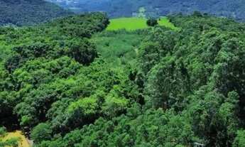 Imagem 3: Sítio / Chácara para Venda em Picada Café, Floresta