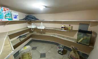 Imagem 6: Imóvel comercial de esquina na cidade aracy