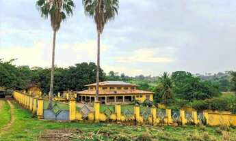 Imagem 4: Fazenda de 127 alq em Bela Vista Go