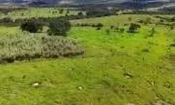 Imagem: Fazenda 24 alqueires