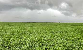 Imagem 4: Fazenda no Tocantins