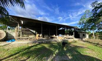 Imagem 4: Fazenda/Sítio/Chácara na AM010 KM 20 para venda tem 250000 m2 em Zona Rural - Rio Preto da