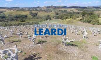 Imagem: SÍTIO - MACUCO - SP