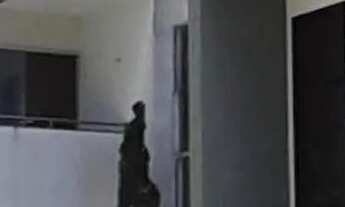 Imagem: Bosque dos Pássaros- Parnamirim - RN