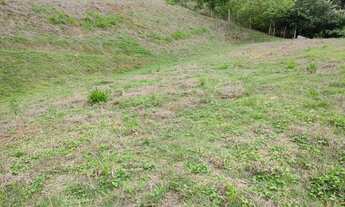 Imagem 2: Chácara no bairro Inácio Martins, Viçosa-MG