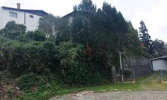 Imagem 3: Terreno no Centro de São Francisco de Paula!