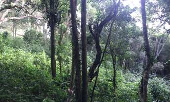 Imagem 3: Terreno de 3643.79m² no bairro Sambaqui