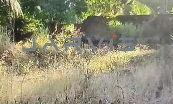 Imagem 3: Vendo terreno na Massagueira, 250 m2, rua calçada e próximo a Lagoa - R$ 170.000