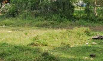 Imagem 6: REF. 199 Lindo Terreno em Ratones, o espaço para a construção que você precisa