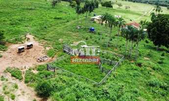 Imagem 3: Chácara 7,3 alqueires (35,33 hectares) Professor Jamil - Go