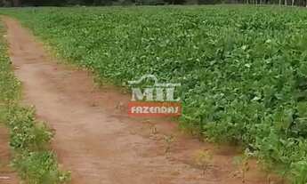 Imagem 2: Fazenda 362 alqueires (1.750 hectares) Doverlândia - Go