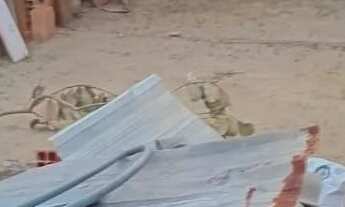 Imagem 3: Vendo terreno com um terreno com uma casinha