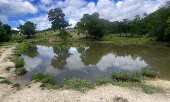 Imagem: Fazenda de oportunidade