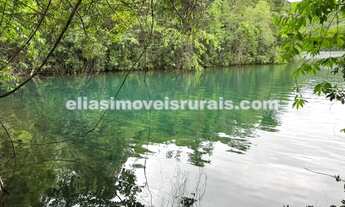 Imagem 5: Fazenda em Araguari - 14,88 alqueires