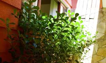 Imagem 2: Lindo e bem localizado Sobrado de 3 dorm com area Gourmet - Alto do Ipiranga / praça do 8