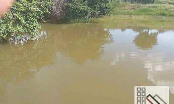 Imagem 5: FAZENDA (170 hectares), CASA SEDE EXCELENTE. COMPLETA INFRAESTRUTURA PARA OPERAÇÃO E PRODU