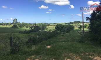 Imagem 3: Fazenda com 3 dormitórios à venda, 520000 m² por R$ 9.300.000 - Fazendinha - Araruama/RJ