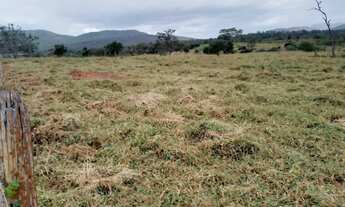 Imagem 5: Boa fazenda para produção criação, com sede de alto padrão , curral, poço e aguadas