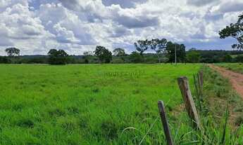 Imagem 6: Fazenda com 91 hectares banhando pelo rio Cuiabá no Município da cidade de Acori