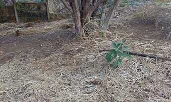 Imagem: Lote 360m² em Betim