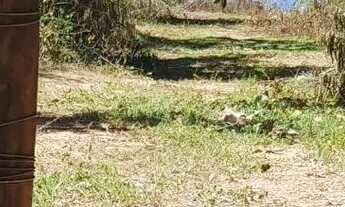 Imagem 7: Chácara serra da mesa