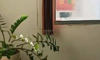 Imagem 5: Vendo apartamento em jabaete